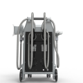 Pérdida de peso vertical de NiAssheng 4 maneja la máquina de congelamiento de la congelación de grasas crioolipólisis